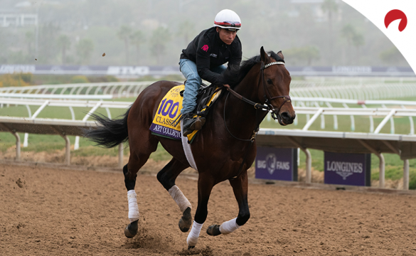 Art Collector is an interesting bet among Breeders' Cup horses.