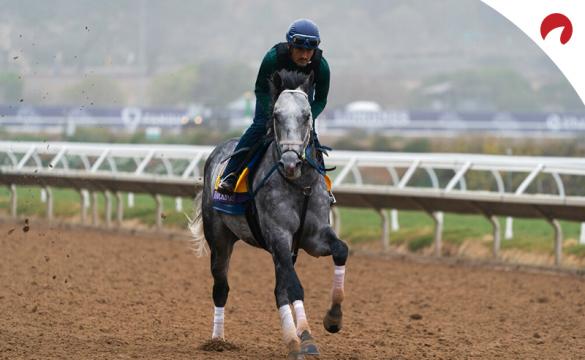 2021 Breeders’ Cup odds, including a Breeders’ Cup betting preview on how to bet the Breeders’ Cup Classic.