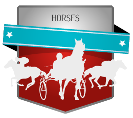 What is the best online horse racing betting sites What is the best online horse racing betting sites